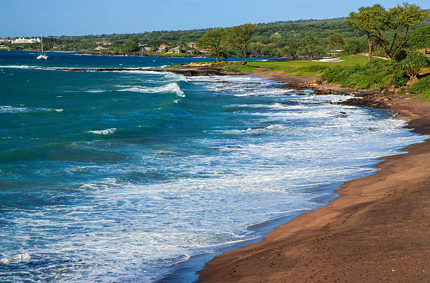 Maui Shorebreak Safety: How to Read the Ocean Before You Get In