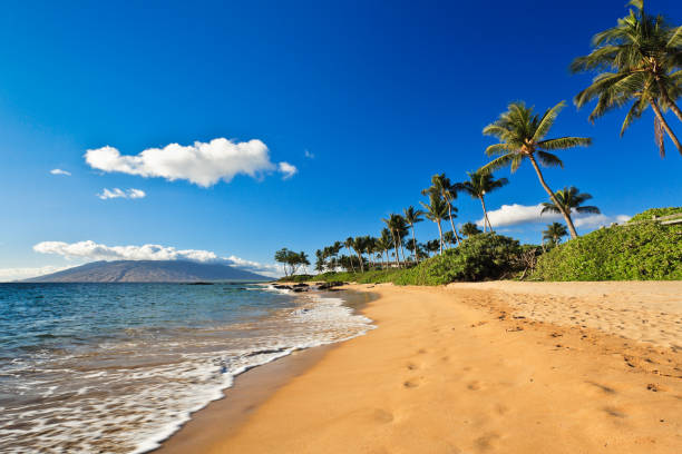 Maalaea and the Central Isthmus: Maui’s Wind-Swept Harbor and Island Crossroads