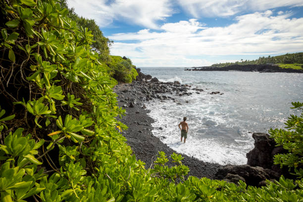 Wailea Luxury Resorts: Finding Your Oceanfront Sanctuary on Maui