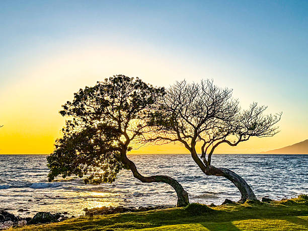 A Maui Itinerary That Balances Adventure, Culture, and Deep Rest