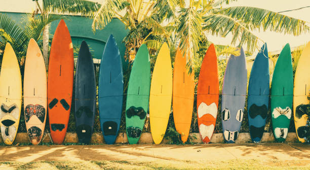 Reading Maui’s Surf Forecasts, Webcams, and Videos Like a Local