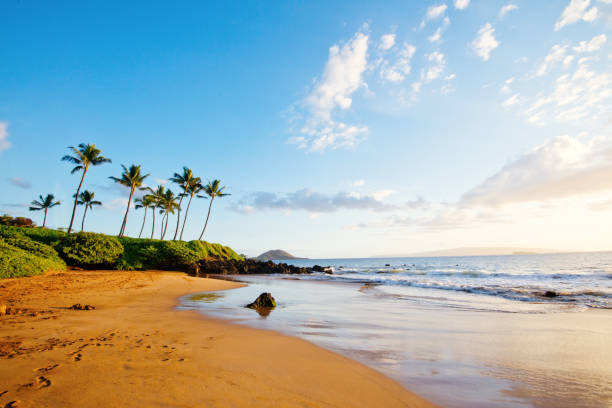 Where to Surf on Maui by Season: A Traveler’s Guide to Winter Swells, Summer Souths, and Shoulder-Season Secrets