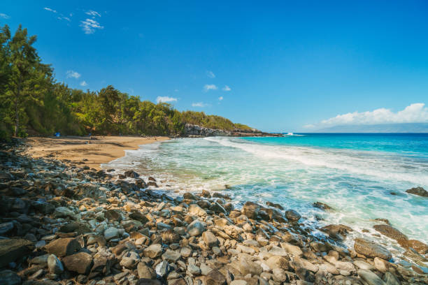 Maui’s Fresh Catch: A Friendly Guide to Seafood, Fish Tacos, and Sushi