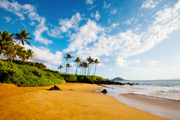 Central and North Shore Beaches: Maui’s Windy Coast of Waves, Turtles, and Small-Town Charm