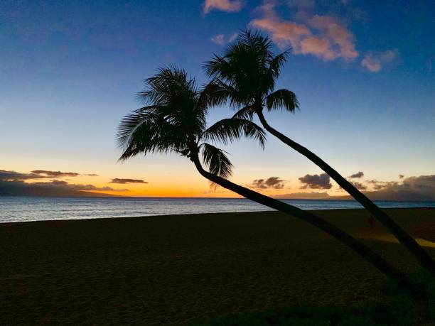 Visiting Lahaina with Respect: Supporting Recovery in West Maui