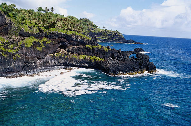 Maui’s Festivals of Aloha: Celebrating Hawaiian Culture and Community