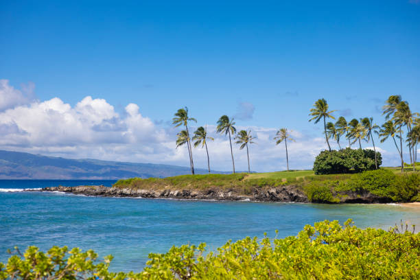 Kaanapali Beach Resorts and Hotels: Choosing Your Ideal Oceanfront Stay on Maui