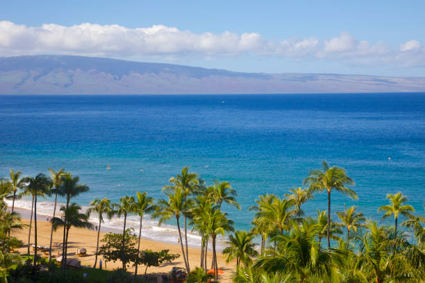 Maui Vacation Rentals: How to Choose the Right Condo or Villa for Your Island Stay