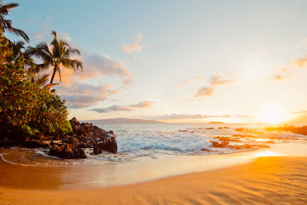 Where to Stay on Maui: Choosing the Region That Fits Your Island Dream