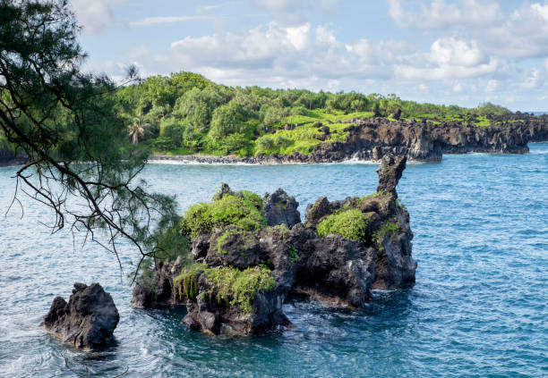Wailea Luxury Resorts for Food and Wine Lovers