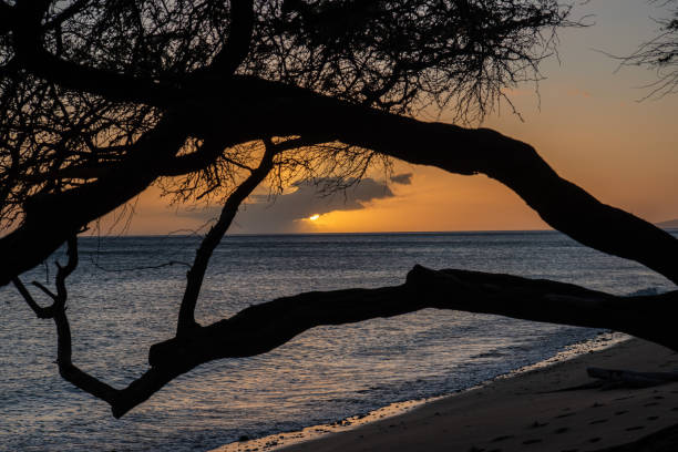 Snorkeling Maui’s Reefs with Aloha: A Traveler’s Guide to Responsible Ocean Adventure