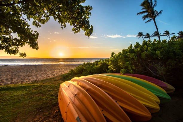West Maui Magic: Kaanapali, Kapalua, and the Coastal Road Between Them
