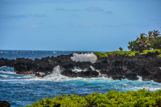 Maui Fish Tacos and Sushi: A Fresh Catch Guide to Island Seafood