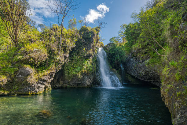 Chasing Road to Hana Waterfalls: Hiking Maui’s Rainforest Trails