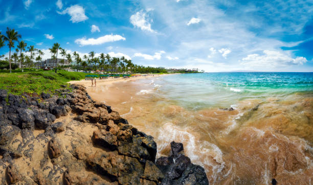 Sunset Sails and Dinner Cruises in Maui: An Evening on the Pacific