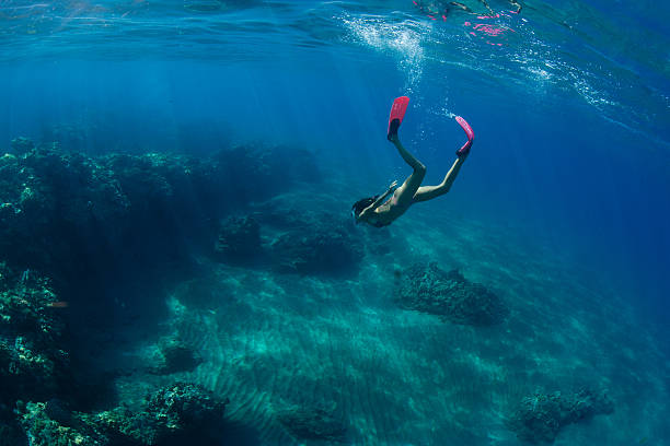 Maui After Dark: The Quiet Thrill of Night Scuba Diving
