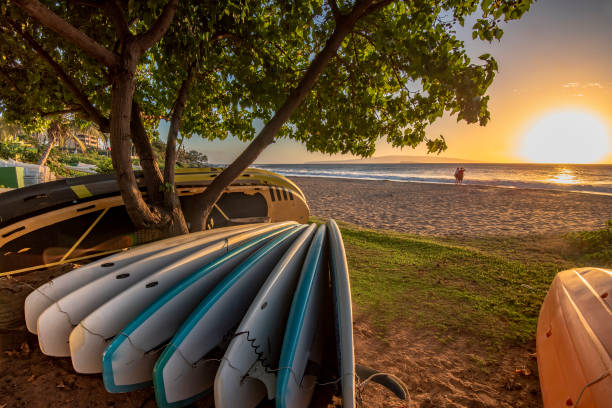 Maui Longboarding: The Timeless Art of Classic Surf Style