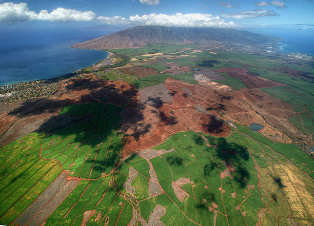 Maui Population and Island Life: The People and Rhythms Behind the Paradise
