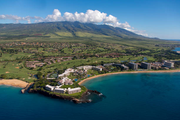 Finding Your Perfect Maui Vacation Rental: Condos, Villas, and the Art of Choosing Well
