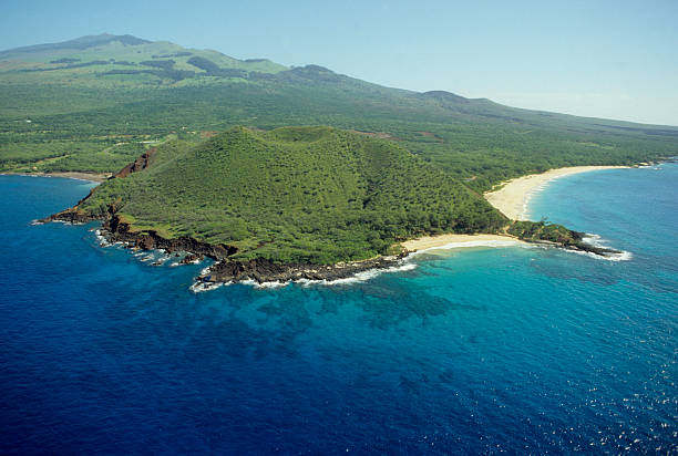 From Shoreline to Sushi Bar: A Taste of Maui’s Fresh Seafood