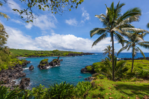 Family-Friendly Maui Hotels: Finding the Perfect Home Base for Your Ohana