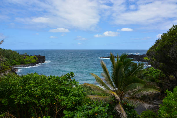 Lahaina Recovery and Respectful Visiting: How to Travel West Maui with Aloha