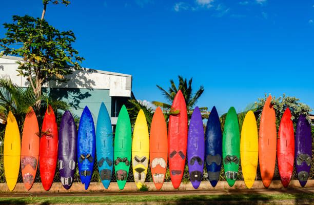 Noseriding on Maui: The Enduring Soul of Classic Longboarding
