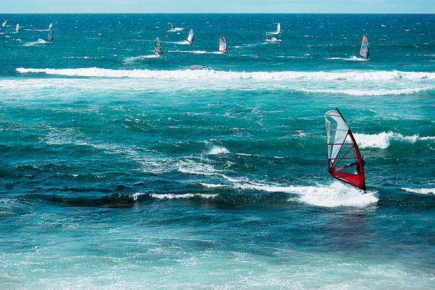 Riding the Trade Winds: Windsurfing and Kitesurfing on Maui