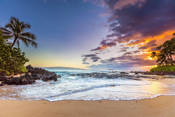 Where to Surf on Maui by Season: A Wave for Every Month